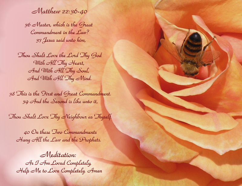 The Suspended Bee by Jessika