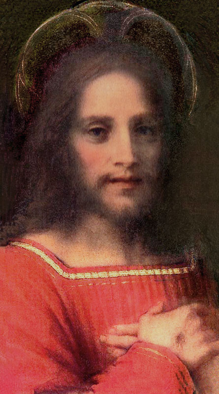 The Redeemer: Andrea Sarto: edited by jessica